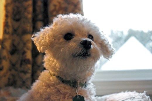 02_03_13 Lilly and Sophie Pictures_0004