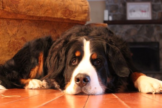 02_04_13_Lexington Visit_0014