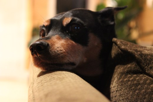 02_04_13_Lexington Visit_0016