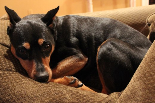 02_04_13_Lexington Visit_0017