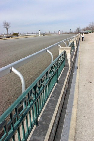 Becca walking around Keeneland near Lexington, KY
