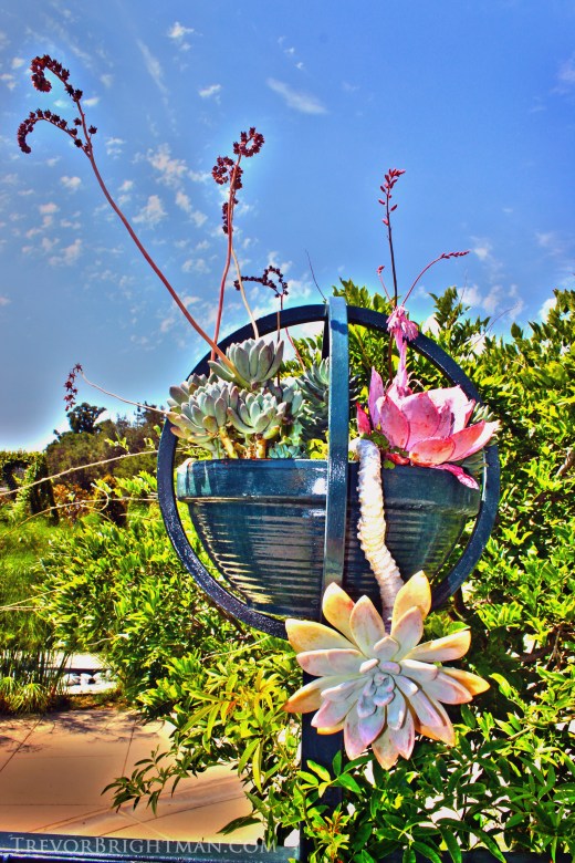 HuntingtonGardensTrip1_0018