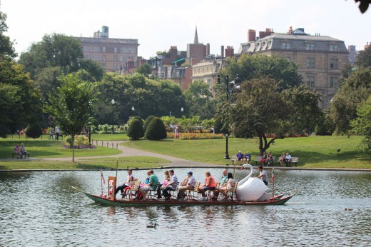 Swan Boats  at the Boston Public Garden