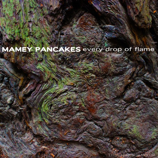 Mamey Pancakes