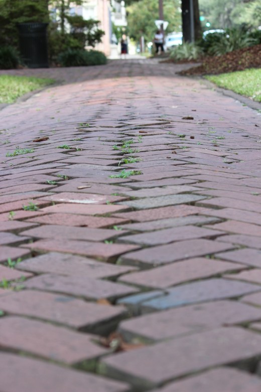 Savannah Georgia Street Photography