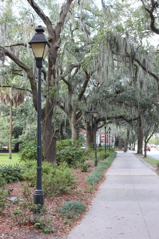 Savannah Georgia Street Photography
