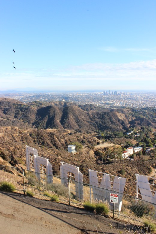 Hollywood_Sign_Hike_0019