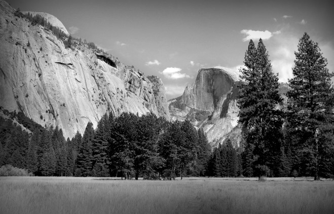 yosemite valley meadow