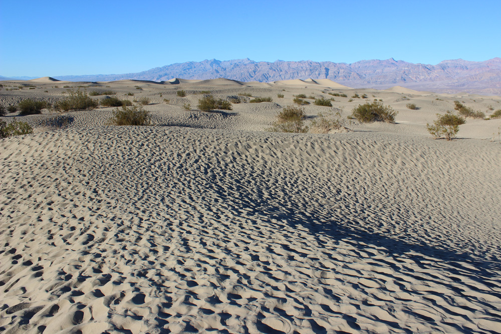 2015_01_19_Death_Valley_NP_0066_For Web