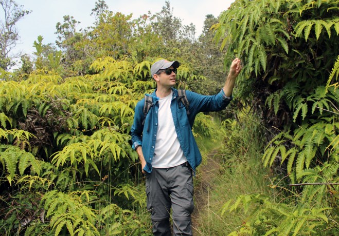 Exploring the rain forest at Volcano National Park