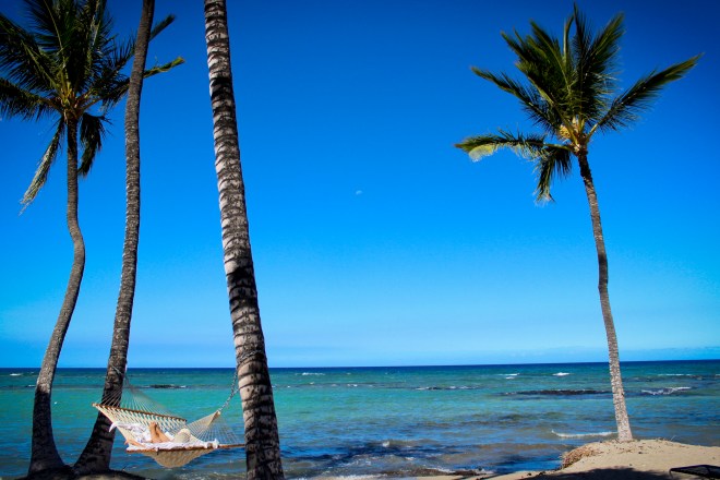 Not a bad place to read a book